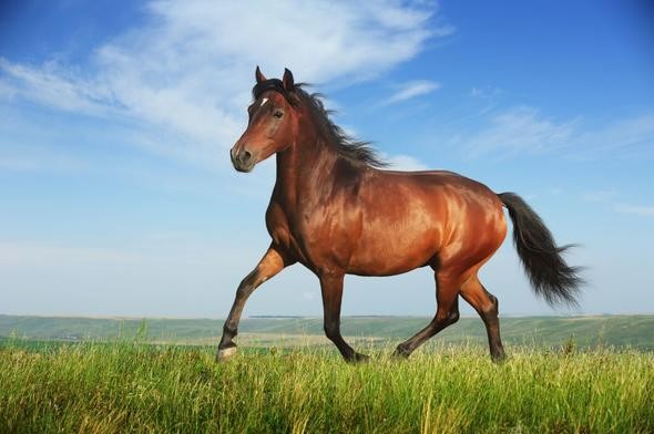 42 bin yıl sonra uyandı! Dünyanın en yaşlı canlısı