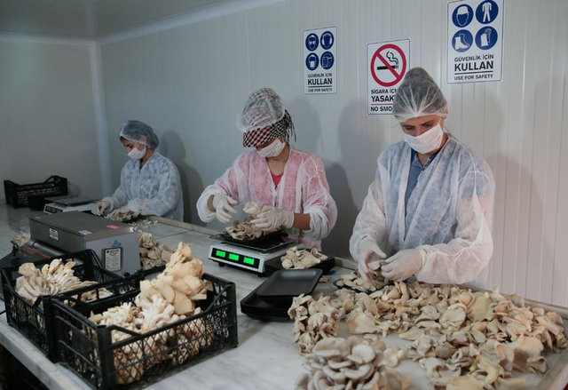 Geçimini sağlamak için başladı marka oldu!