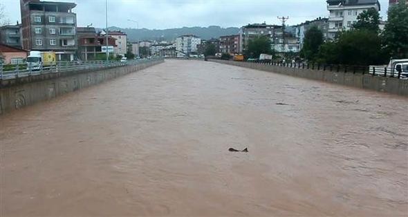 Ordu'da sel felaketi
