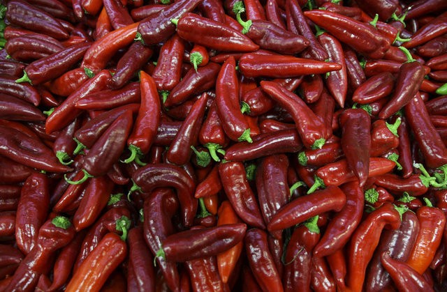 Doğal antibiyotikler nelerdir?