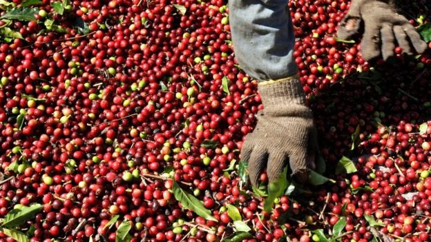 Kahve hakkında bilinmeyen 12 gerçek