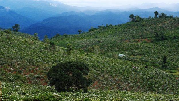 Kahve hakkında bilinmeyen 12 gerçek