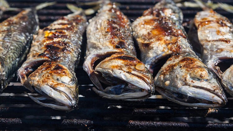 En fazla omega 3 içeren balık somon değil, uskumru!