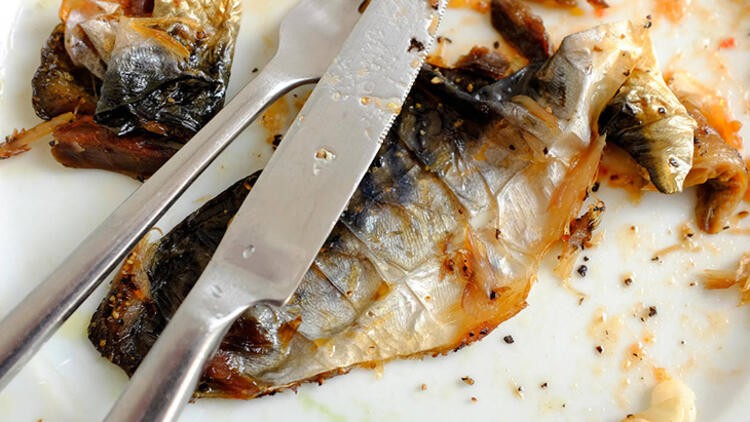 En fazla omega 3 içeren balık somon değil, uskumru!