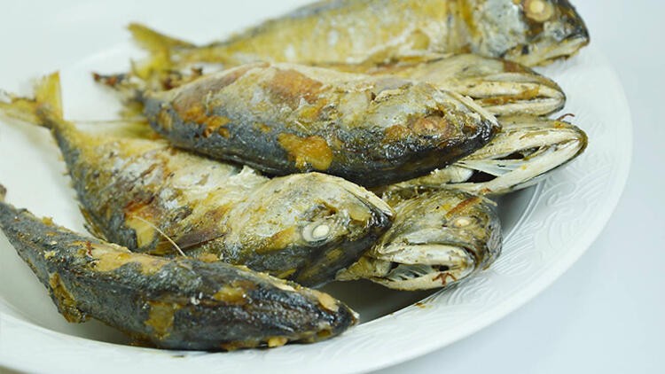 En fazla omega 3 içeren balık somon değil, uskumru!