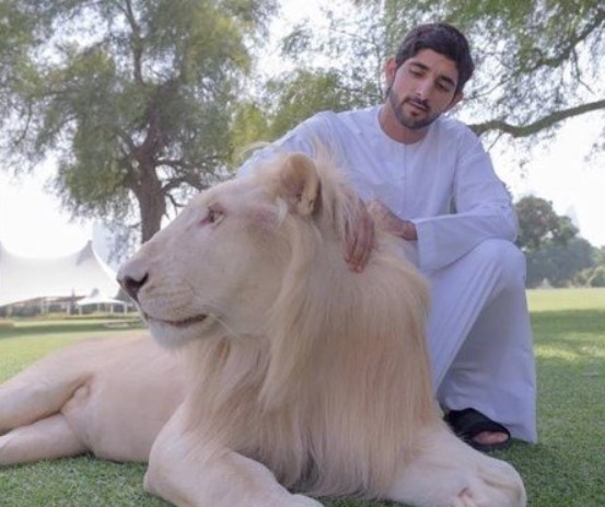Dubai'nin veliaht prensi sosyal medyanın gözdesi