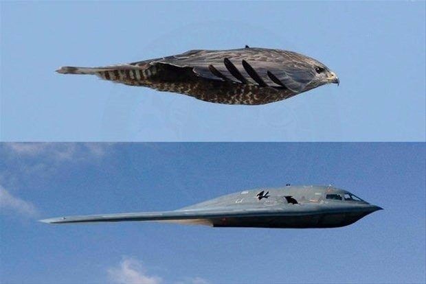 Dünyanın en pahalı 10 uçağı ve sıra dışı özellikleri...