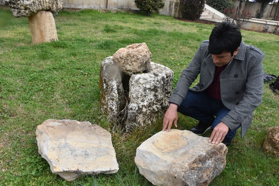 Adıyaman'da dev salyangoz fosili bulundu