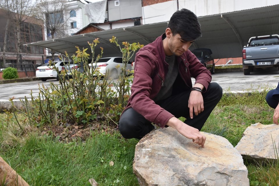 Adıyaman'da dev salyangoz fosili bulundu