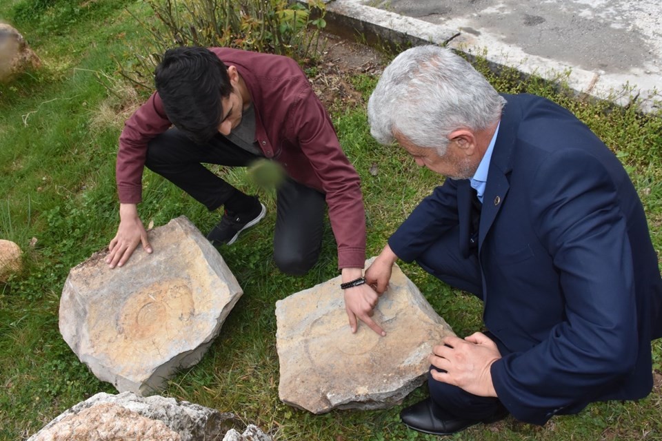 Adıyaman'da dev salyangoz fosili bulundu
