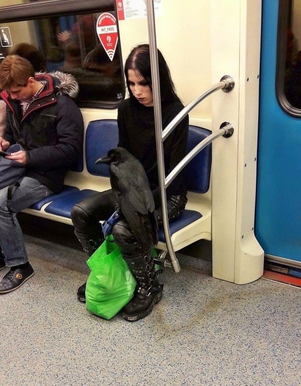 Metroda cansız mankenle kavga! 