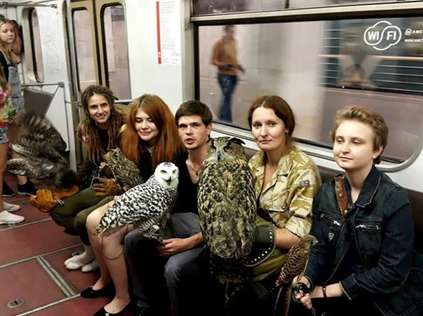 Metroda cansız mankenle kavga! 