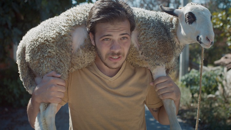 Bu hafta 7 film vizyona girdi