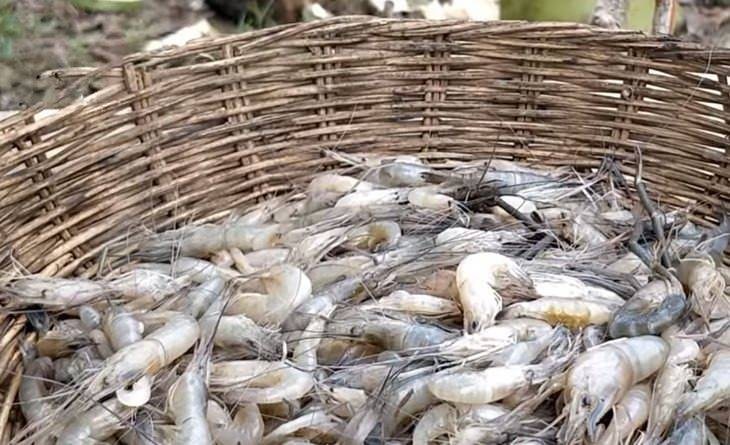 Hindistan cevizi ve karpuzun içinde yemek yaptı!