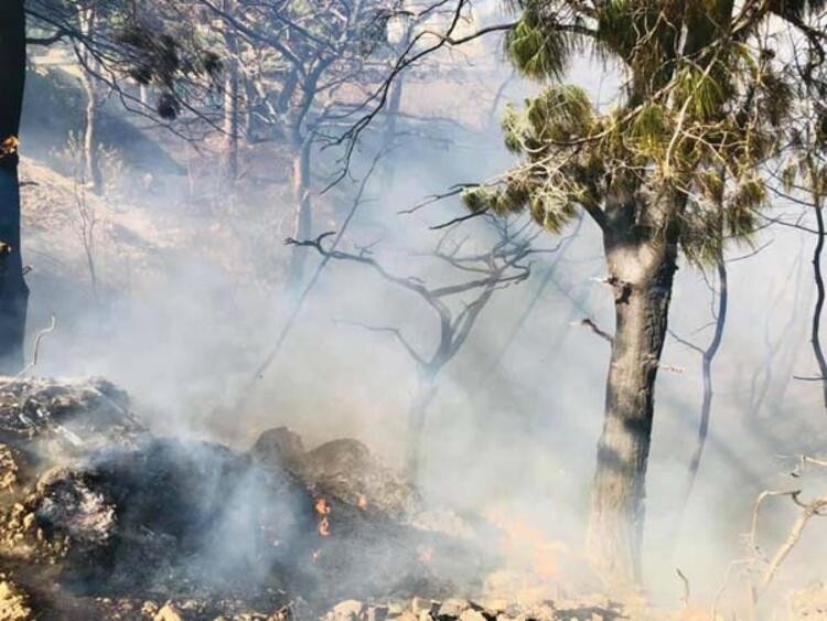 Hatay'da orman yangını hala söndürülemedi
