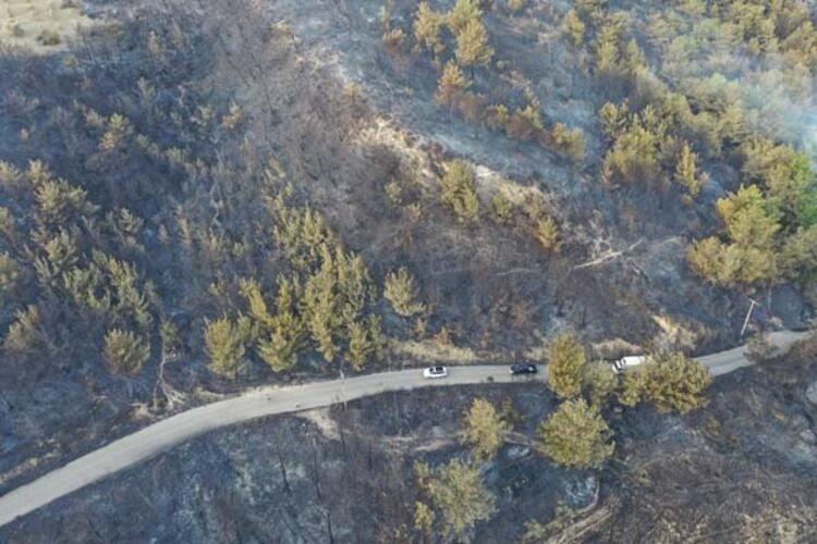 Hatay'da orman yangını hala söndürülemedi