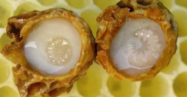 Bağışıklığı güçlendiren vitamin deposu kış meyveleri