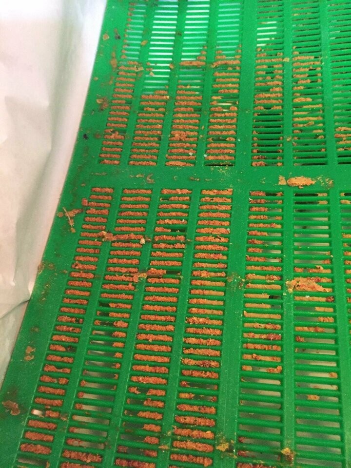 Virüslere karşı bağışıklığı güçlendiriyor: Litresi 7 bin lira