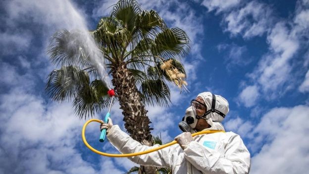 Havaların ısınması yeni korona virüsü öldürecek mi?