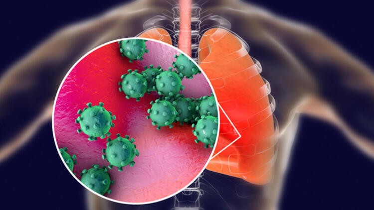 Korona virüs için 'sık sorulan sorular' kılavuzu hazırlandı