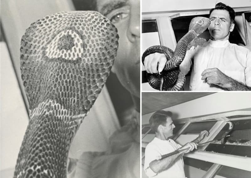 60 yıl boyunca kendine zehir enjekte etti! Kanı birçok hayat kurtardı