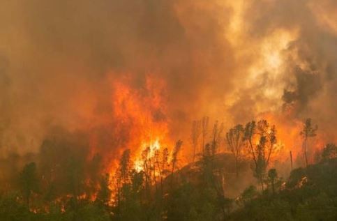 ABD’de devam eden yangınlar haftalarca sürebilir
