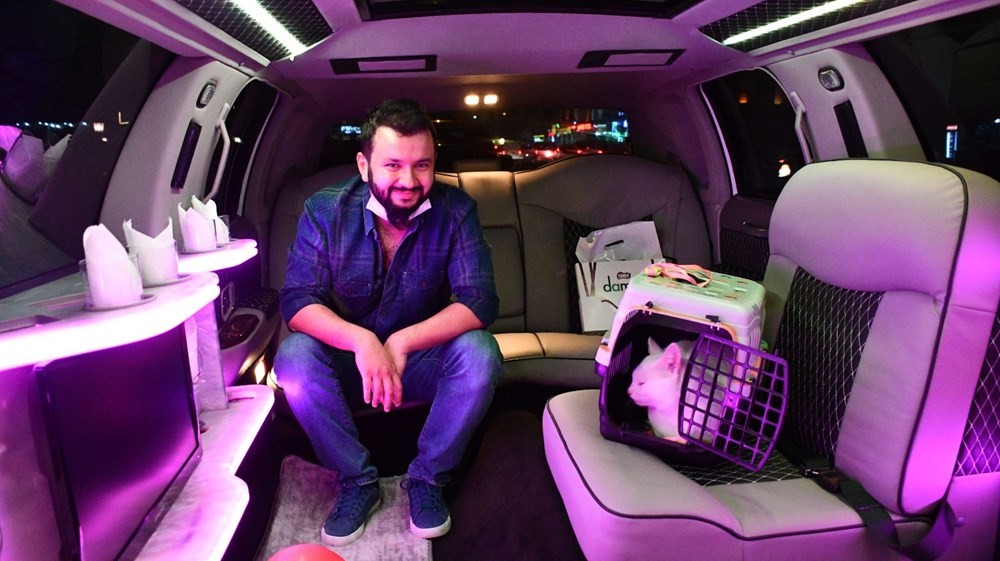 Sivas'ta 'limuzinle şehir turu' ödüllü kedi güzellik yarışması düzenlendi