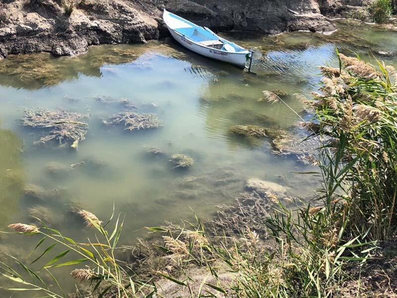 Göllerde 'çürüme' felaketi: Siyonobakteri istilası!