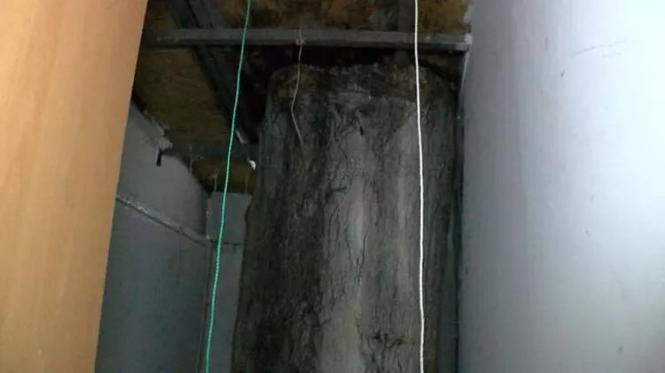 Penceresi yok ama doğa manzaralı! İşte kirası...