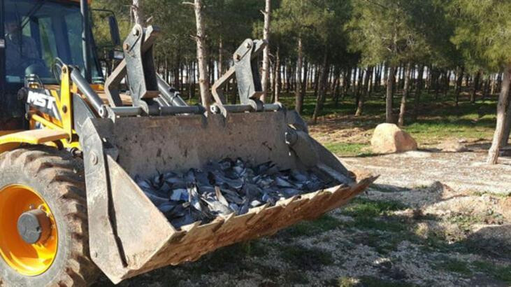 Gökyüzünden ölü kuşlar yağdı! Korkutan uyarı...