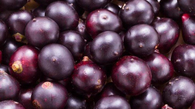 Yiyebileceğiniz en sağlıklı 7 kırmızı orman meyvesi