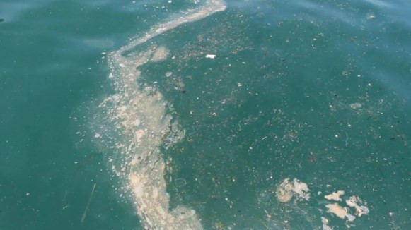 Karadeniz'de balık stoğu azalıyor