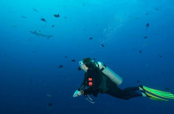 National Geographic seçti: 2022 yılında ziyaret edilecek en iyi rotalar