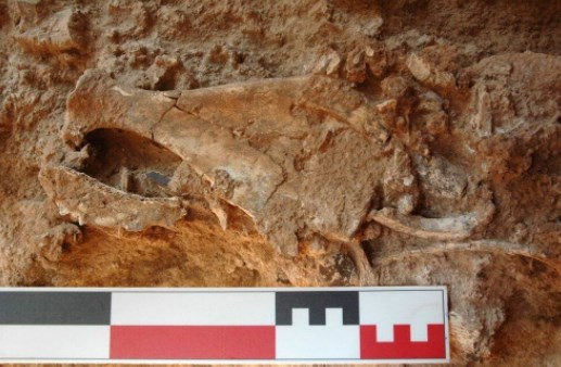 Mavi derinliklerdeki mağaralar insanlık tarihini yeniden şekillendirecek