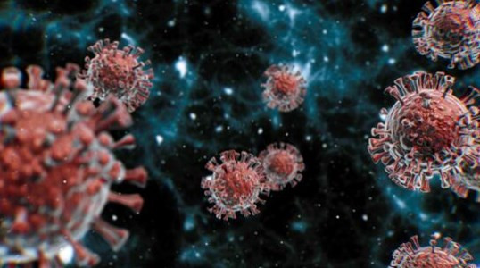 Kovid-19'un P1 varyantı virüsten iyileşmiş birçok kişiye yeniden bulaştı