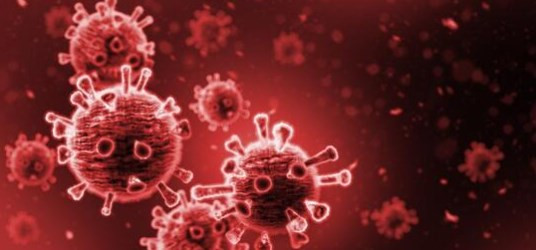 Kovid-19'un P1 varyantı virüsten iyileşmiş birçok kişiye yeniden bulaştı