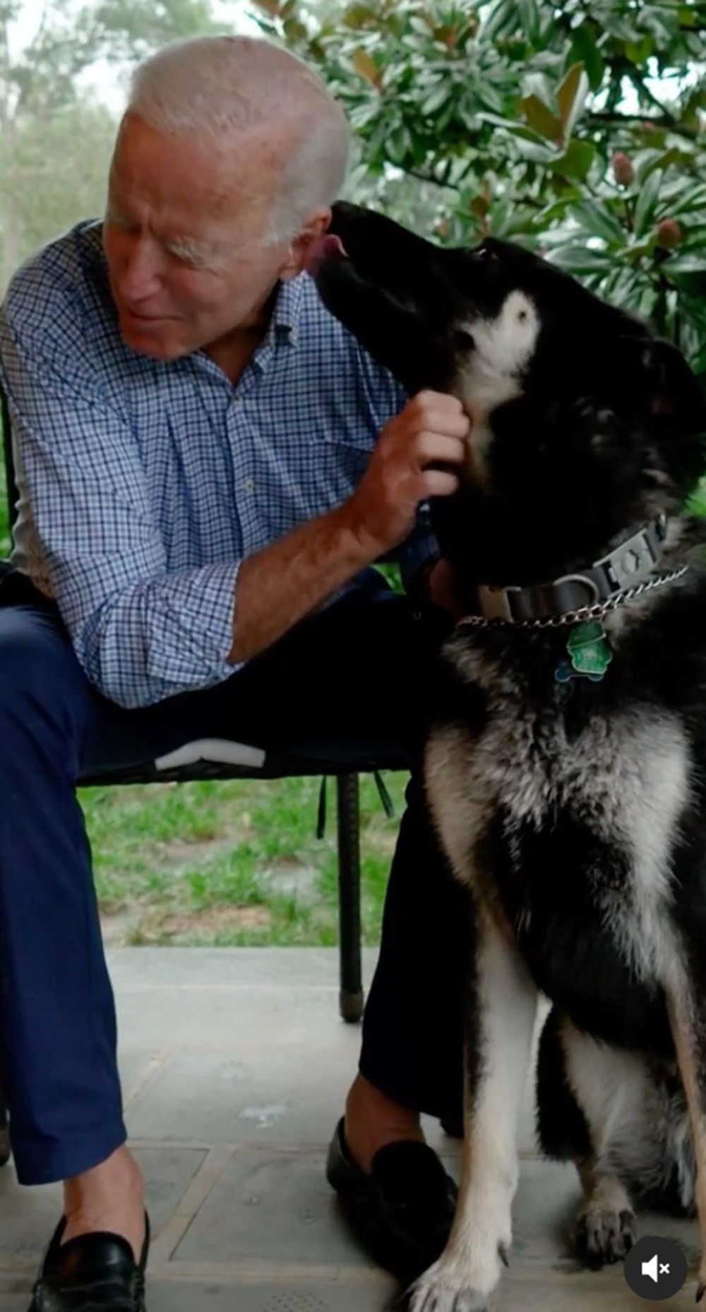 Joe Biden'ın köpeğinden yeni vukuat