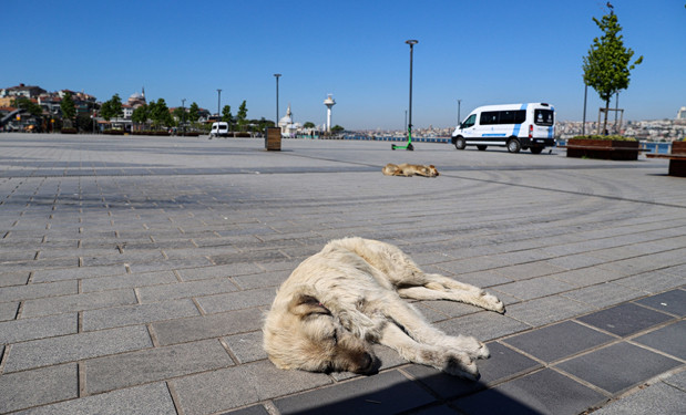 İstanbul'da meydanlar bayramda boş kaldı
