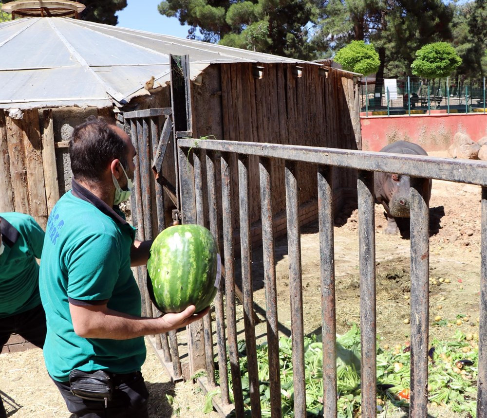Günlük 100 kilo meyve- sebze tüketiyor