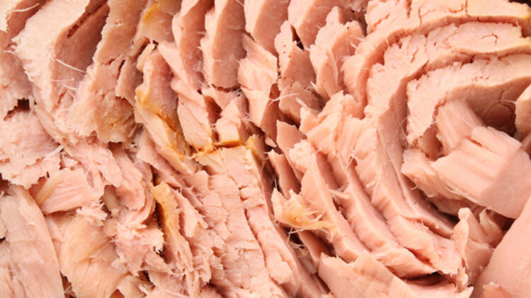 Neredeyse tamamı saf protein olan 10 yiyecek