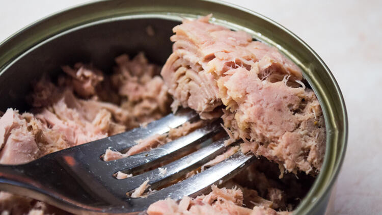 Neredeyse tamamı saf protein olan 10 yiyecek