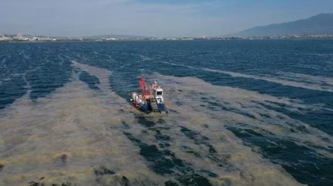 Marmara’ya Karadeniz’den organik karbon yağıyor