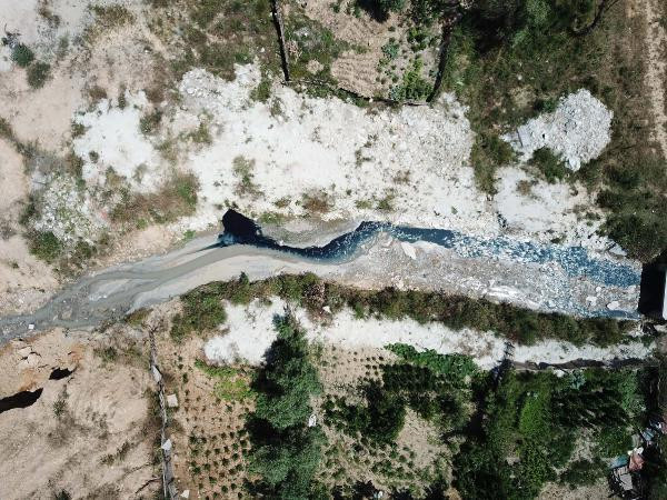 İstanbul'da endişelendiren görüntü! Hayvanlar ölmeye başladı