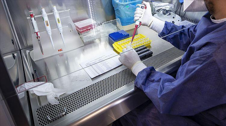 Uzmanlar yanıtladı: PCR testi 'zorunlu' tutabilir mi?