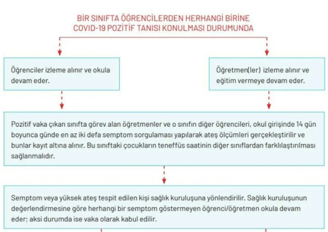 Okullar için Kovid-19 rehberi yayımlandı