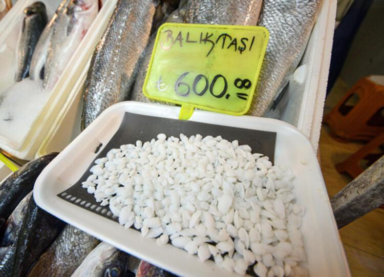 Balığın kendisi 70, kafasındaki taş 600 lira!