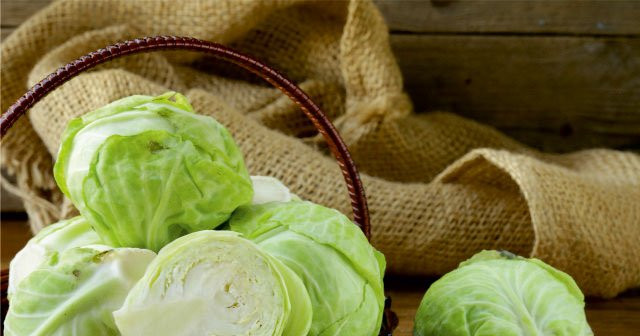 Kanser hücresinin oluşması ve çoğalmasına karşı önleyici besin!