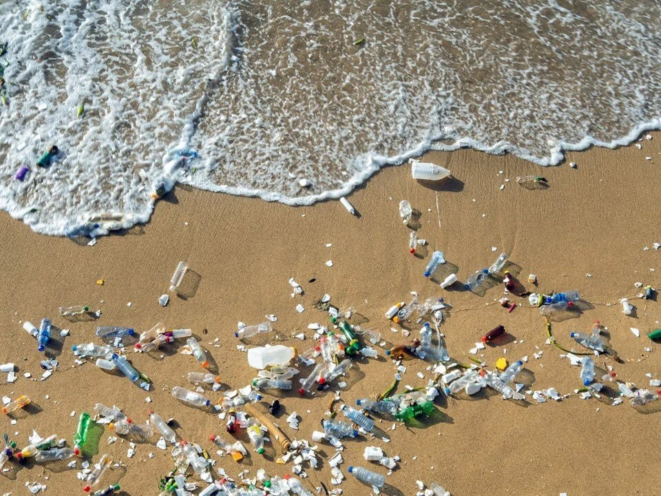 Tesadüfen keşfedildi: Plastiği tükürükle yok edecekler!
