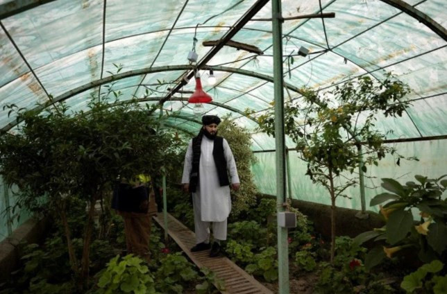 Taliban’ın keskin nişancısı Afganistan’da belediye başkanı oldu