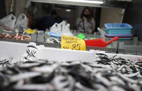 Hamsinin fiyatı 25 liraya düştü
